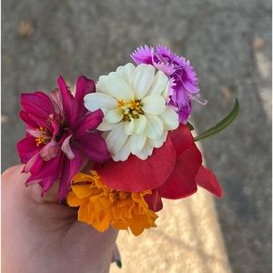 Meet your Posher, Jade